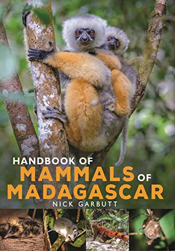 Handbook of Mammals of Madagascar von Bloomsbury Wildlife