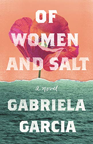 Of Women and Salt: A Novel