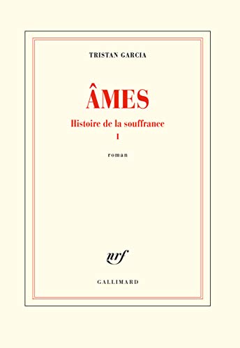 Histoire de la souffrance 1: Ames von GALLIMARD