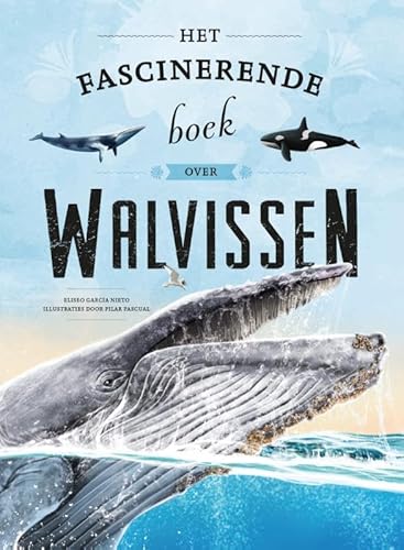 Het fascinerende boek over walvissen von Rebo Publishers