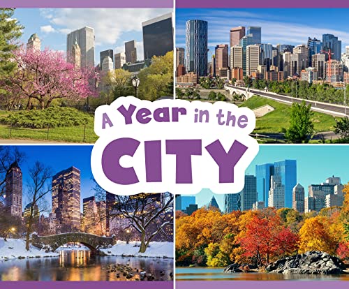 A Year in the City (Season to Season) von Raintree