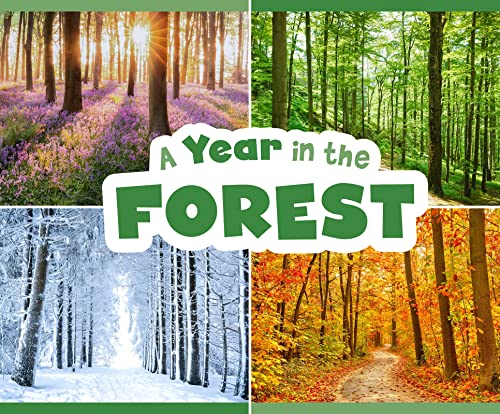 A Year in the Forest (Season to Season) von Raintree