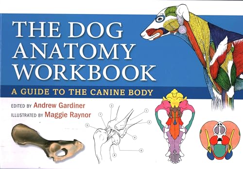 Dog Anatomy: A Guide to the Canine Body
