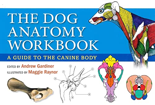 Dog Anatomy: A Guide to the Canine Body