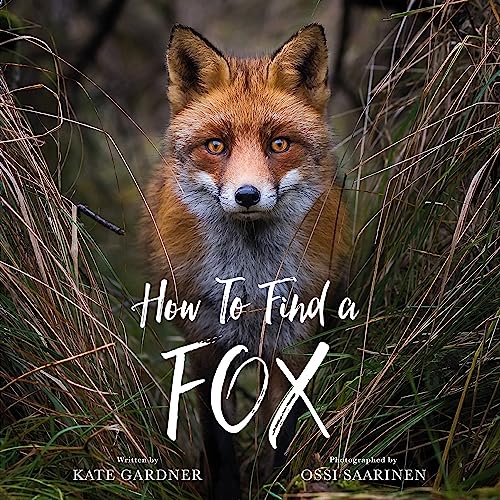 How to Find a Fox von Running Press Kids