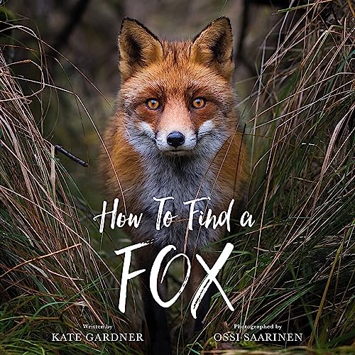 How to Find a Fox