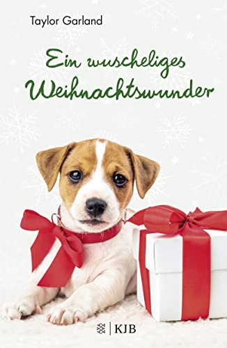 Ein wuscheliges Weihnachtswunder Ein wuscheliges Weihnachtswunder von FISCHERVERLAGE