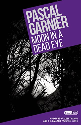 Moon in a Dead Eye: Shocking, hilarious and poignant noir von Gallic Books