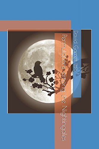 Permutations among the Nightingales von Independently published