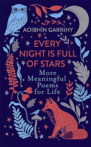 Every Night is Full of Stars von Bonnier Books Ltd