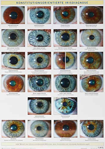 Konstitutionsorientierte Irisdiagnose: Wandtafel von Bacopa