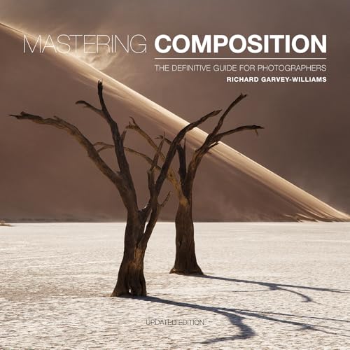 Mastering Composition: The Definitive Guide for Photographers von Ammonite Press