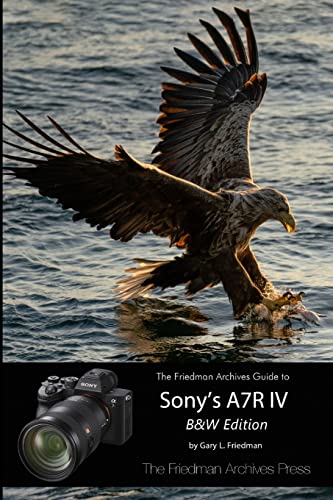 The Friedman Archives Guide to Sony's A7R IV (B&W Edition)