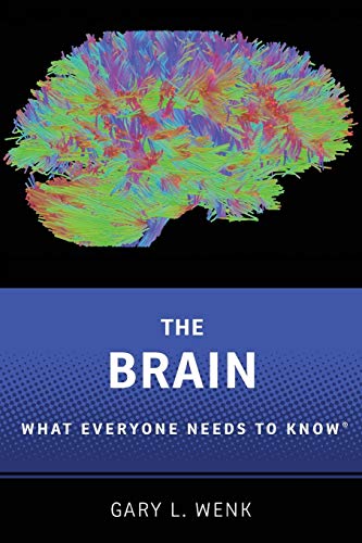 The Brain: What Everyone Needs To Know®: What Everyone Needs To Know (R) von OUP Us