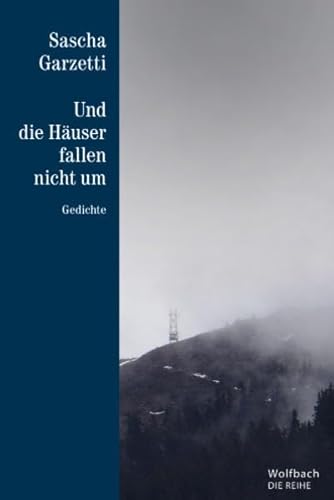 Und die Häuser fallen nicht um: Gedichte (Die Reihe)