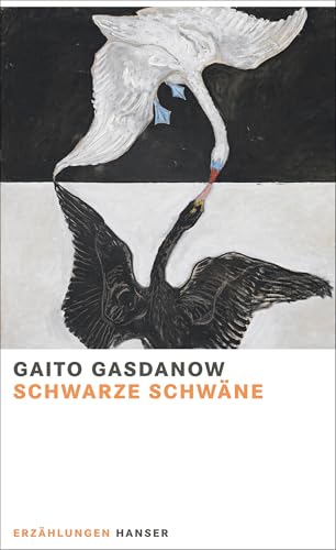 Schwarze Schwäne: Erzählungen von HANSER FACHBUCHVERLAG
