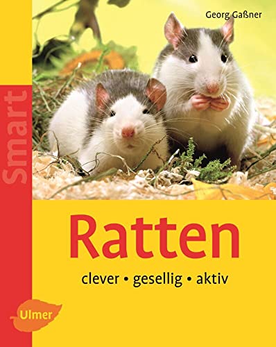 Ratten: Clever - gesellig - aktiv (SMART)