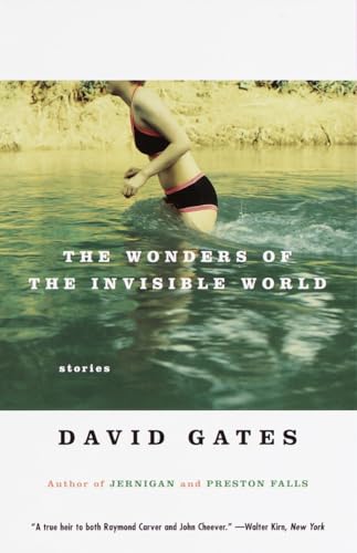 The Wonders of the Invisible World (Vintage Contemporaries)