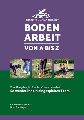 Bodenarbeit von A bis Z: So werdet ihr ein eingespieltes Team