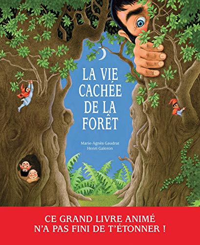 La Vie cachée de la forêt