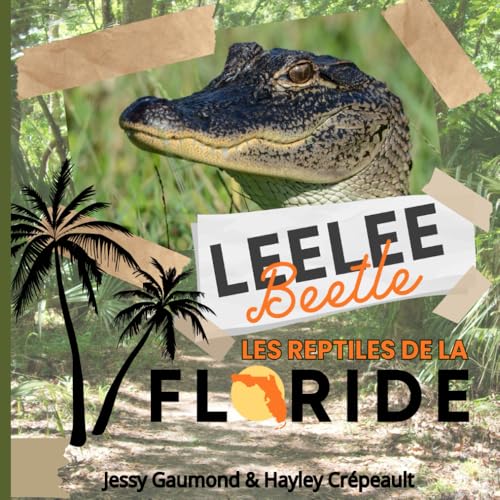 Les reptiles de la Floride: Leelee Beetle