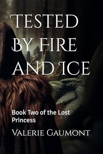 Tested By Fire and Ice: Book Two of the Lost Princess von Independently published