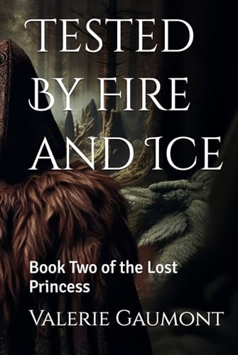 Tested By Fire and Ice: Book Two of the Lost Princess von Independently published