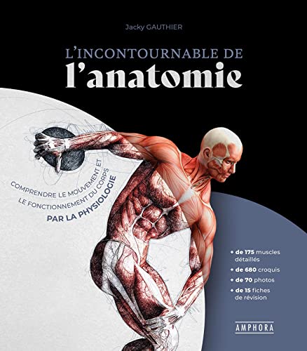 L'INCONTOURNABLE DE L'ANATOMIE: Comprendre le mouvement et le fonctionnement du corps par la physiologie von AMPHORA