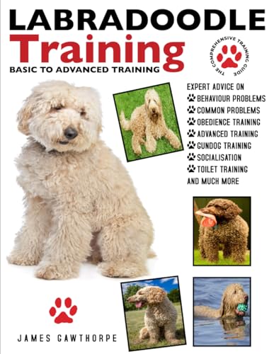 LABRADOODLE TRAINING: Basic To Advanced Training: THE COMPREHENSIVE TRAINING GUIDE von PET EDUCATION PUBLISHING