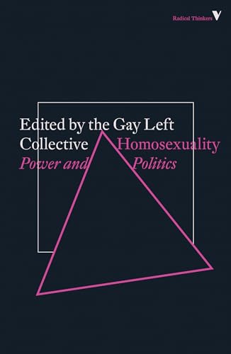 Homosexuality: Power and Politics: Power & Politics (Radical Thinkers)
