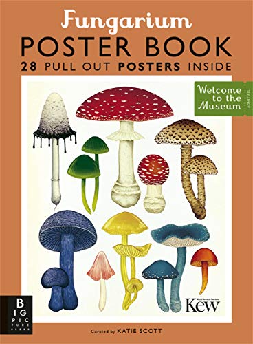 Fungarium Poster Book von BONNIER