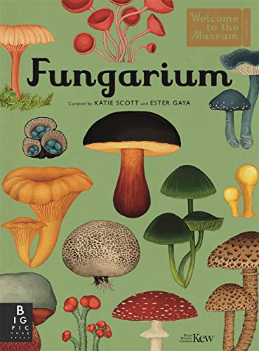 Fungarium Fungarium