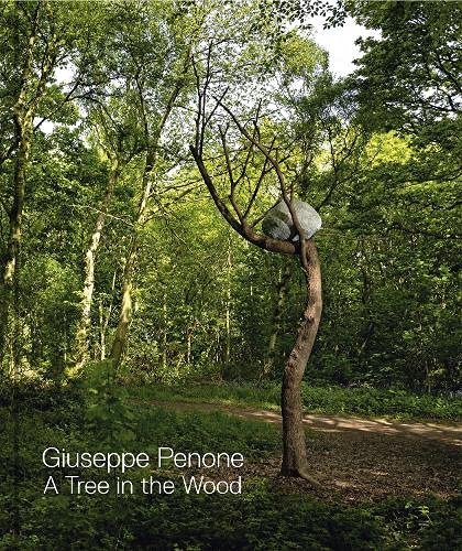 Giuseppe Penone: A Tree in the Wood