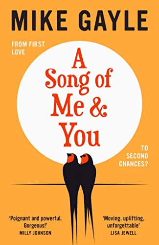 A Song of Me and You: everyone knows this rock star's name: only his first love understands his heart von Hodder & Stoughton