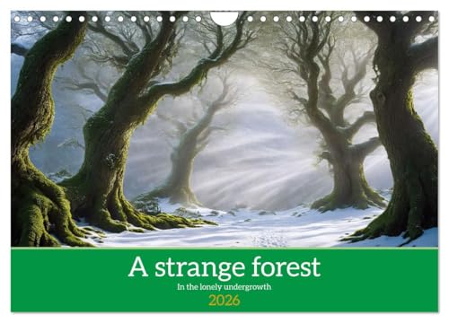 A strange forest In the lonely undergrowth (Wall Calendar 2026 DIN A4 landscape), CALVENDO 12 Month Wall Calendar: Images of an imaginary forest von Calvendo