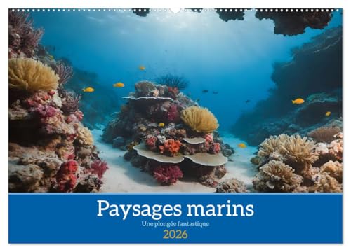 Paysages marins Une plongée fantastique (Calendrier mural 2026 DIN A2 vertical), CALVENDO calendrier mensuel: Découverte des fantastiques fonds marins von Calvendo