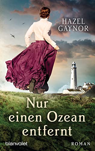 Nur einen Ozean entfernt: Roman
