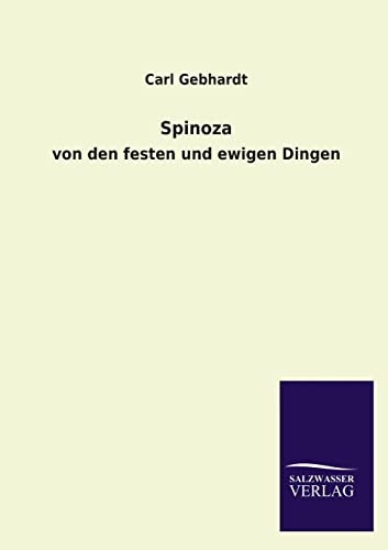 Spinoza: von den festen und ewigen Dingen von Salzwasser-Verlag GmbH