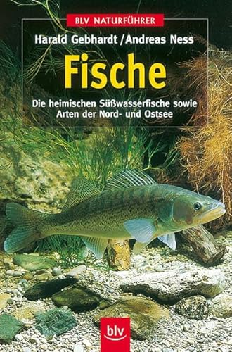 Fische. Die heimischen Süßwasserfische sowie Arten der Nord- und Ostsee