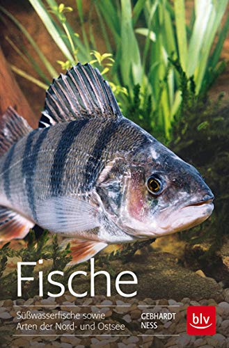 Fische: Süßwasserfische sowie Arten der Nord- und Ostsee (BLV Angelpraxis)
