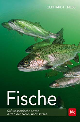 Fische: Süßwasserfische sowie Arten der Nord- und Ostsee (BLV Angelpraxis)
