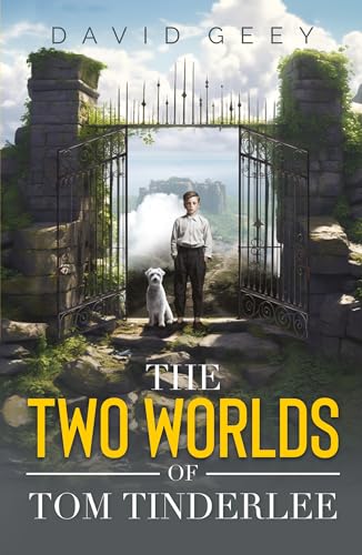 The Two Worlds of Tom Tinderlee von Troubador Publishing