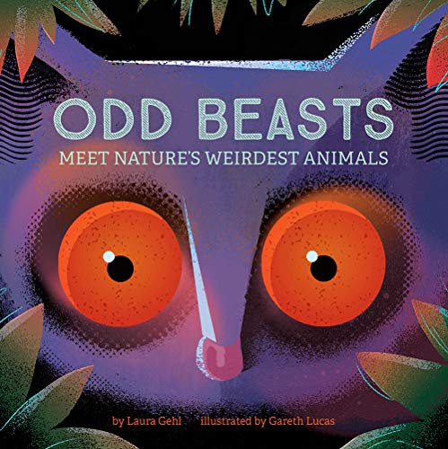 Odd Beasts: Meet Nature’s Weirdest Animals
