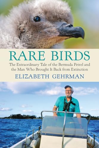 Rare Birds: The Extraordinary Tale of the Bermuda Petrel and the Man Who Brought It Back from Extinction Rare Birds: The Extraordinary Tale of the Bermuda Petrel and the Man Who Brought It Back from Extinction von Beacon Press