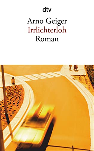 Irrlichterloh: Roman