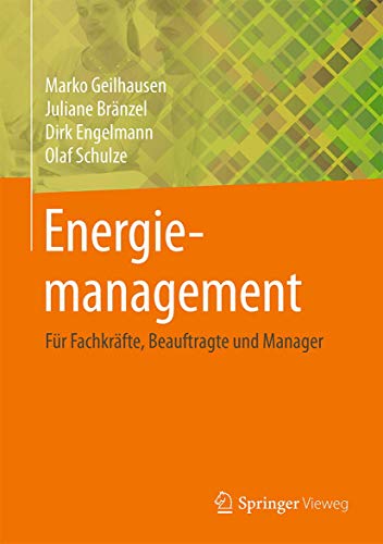 Energiemanagement: Für Fachkräfte, Beauftragte und Manager