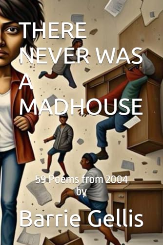 There Never Was A Madhouse von Independently published