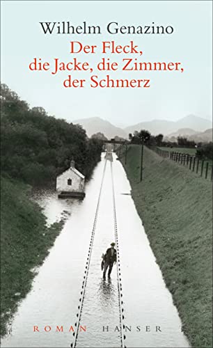 Der Fleck, die Jacke, die Zimmer, der Schmerz: Roman von Carl Hanser Verlag GmbH & Co. KG