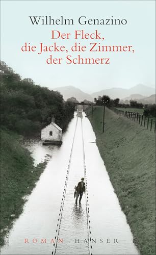 Der Fleck, die Jacke, die Zimmer, der Schmerz: Roman Der Fleck, die Jacke, die Zimmer, der Schmerz: Roman von HANSER FACHBUCHVERLAG
