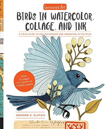 Geninne's Art: Birds in Watercolor, Collage, and Ink: A field guide to art techniques and observing in the wild von Quarry Books